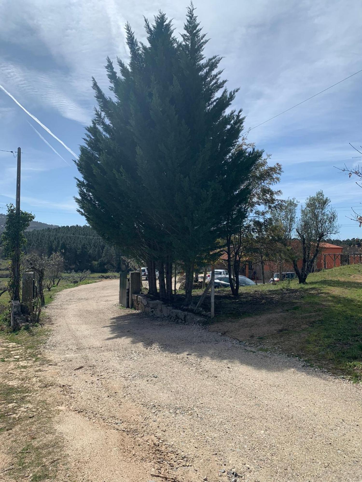 Quinta Dos Cedros L Turismo Rural Covilhã Exterior foto